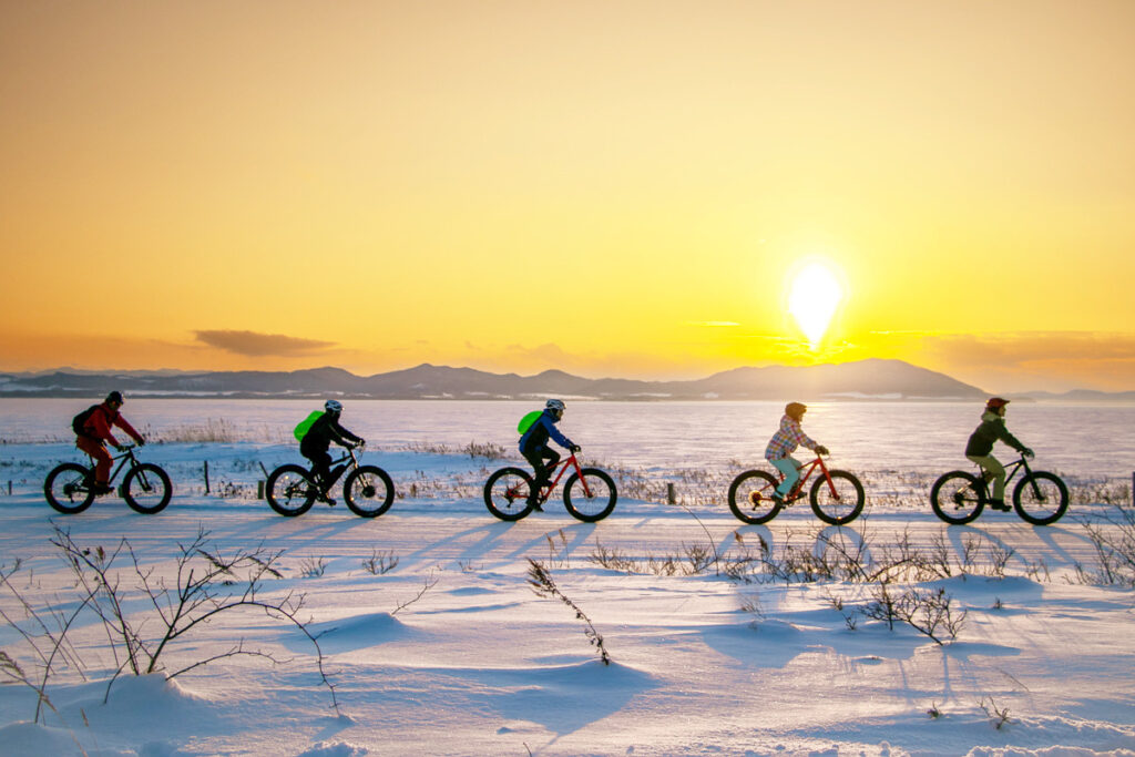 Ride a fat bike across snow