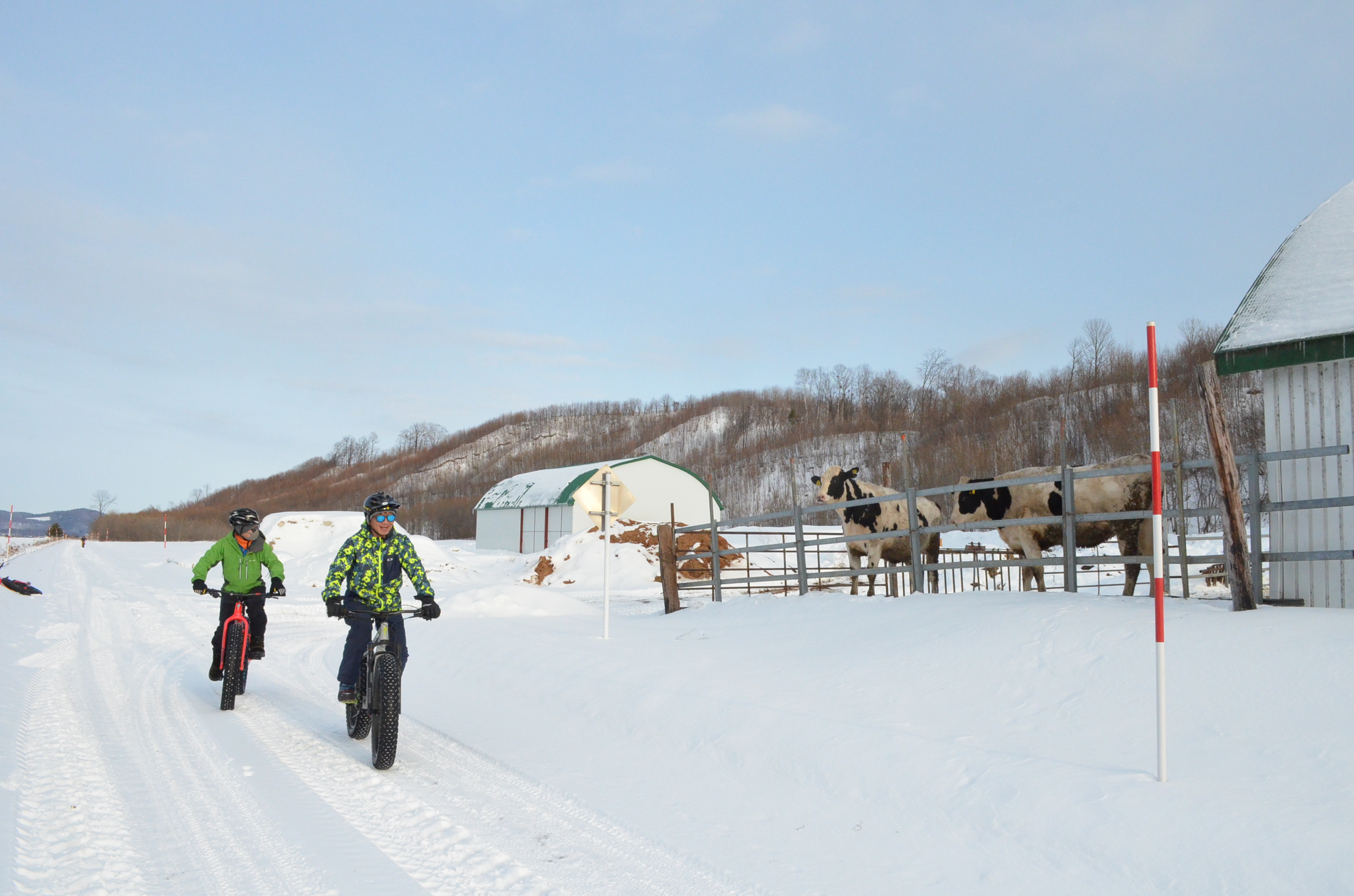 Ride a fat bike across snow