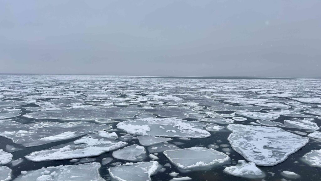 drift ice